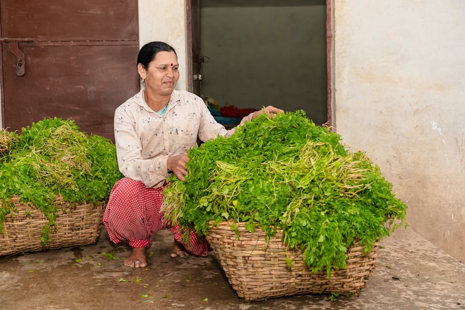 Tips for Cultivating Cilantro and Avoiding Bolting