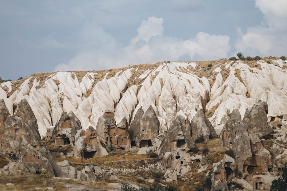 Exploring the Fascinating World of Vacant Spaces: A Natural History