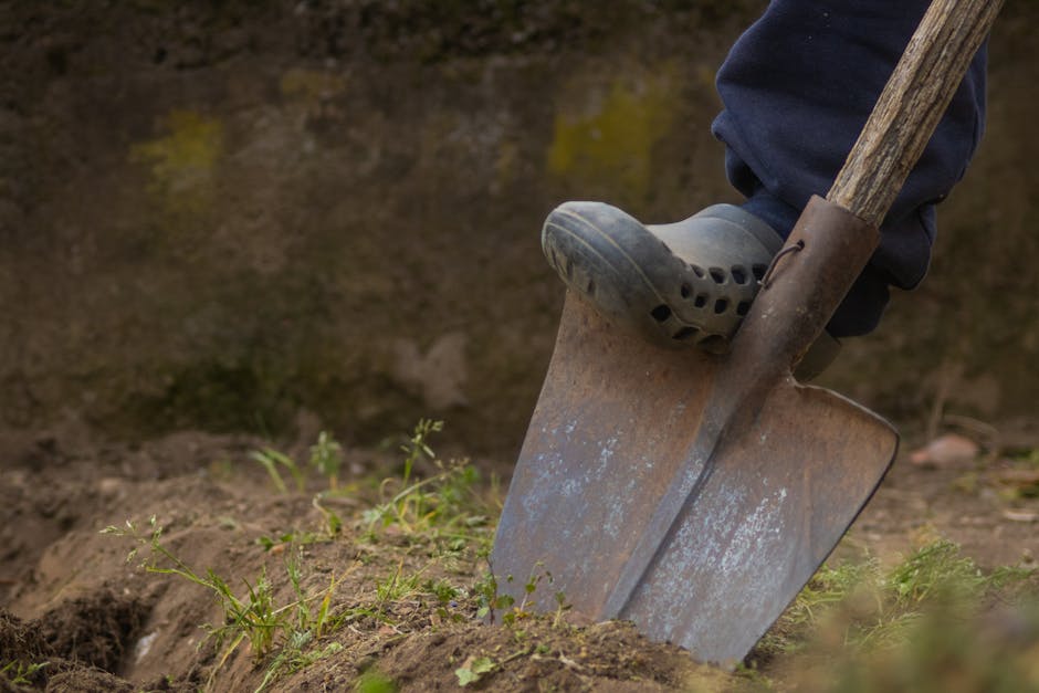 Winter Tasks for the Sleepless Gardener