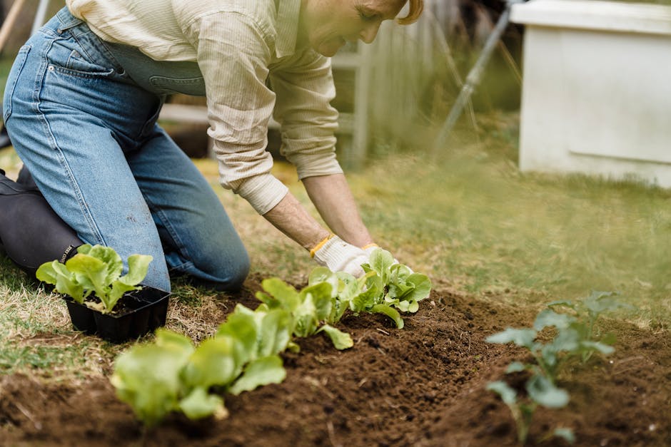 A Guide to Cultivating Piggyback Plants: Youth-on-Age