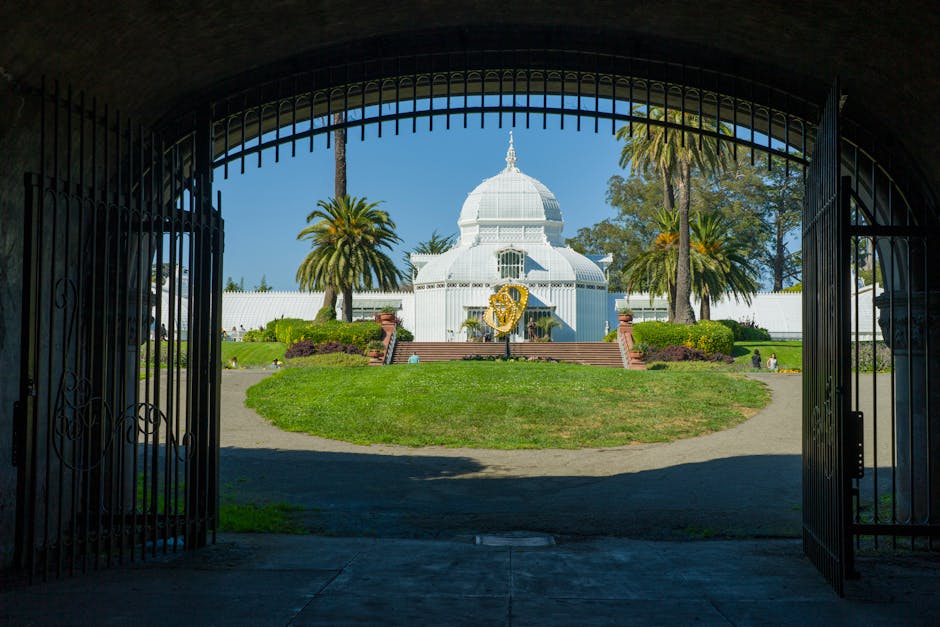 Exploring San Francisco's Historic Conservatory of Flowers