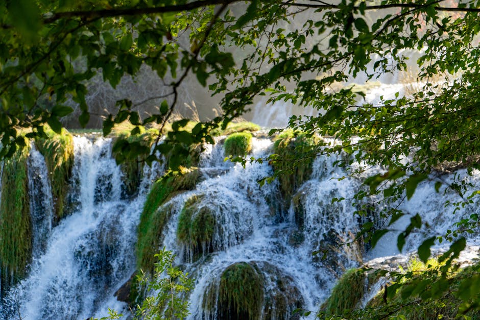 Exploring the Breathtaking Wildflowers and Waterfalls of Mount Rainier National Park