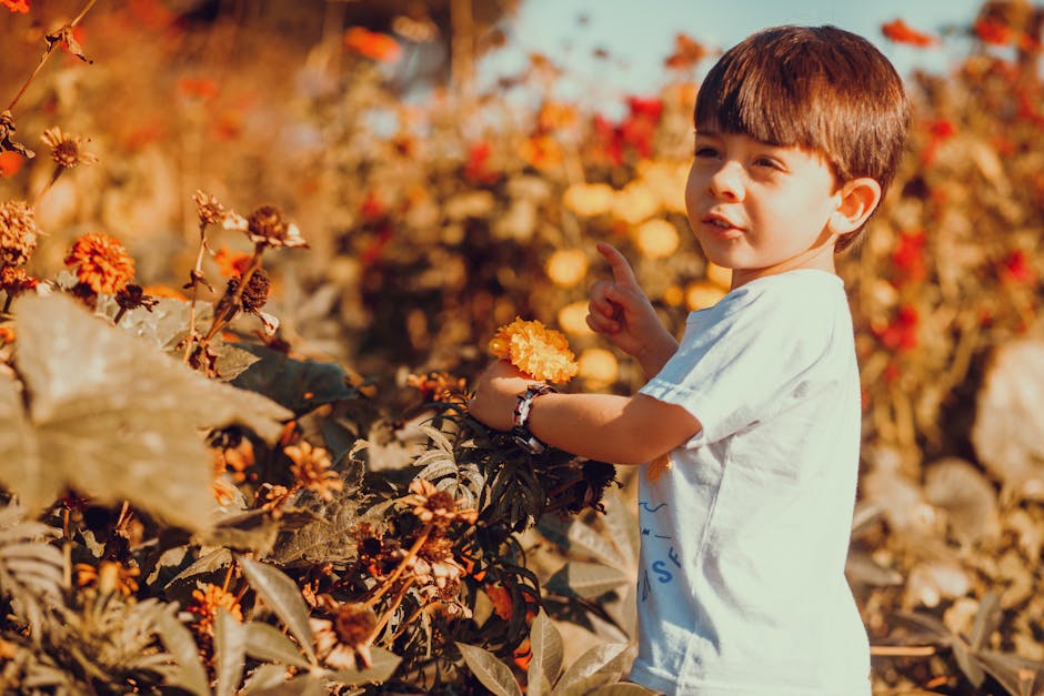 Exploring the Fall Beauty of Denver Botanic Gardens: Entry and Water-Smart Garden