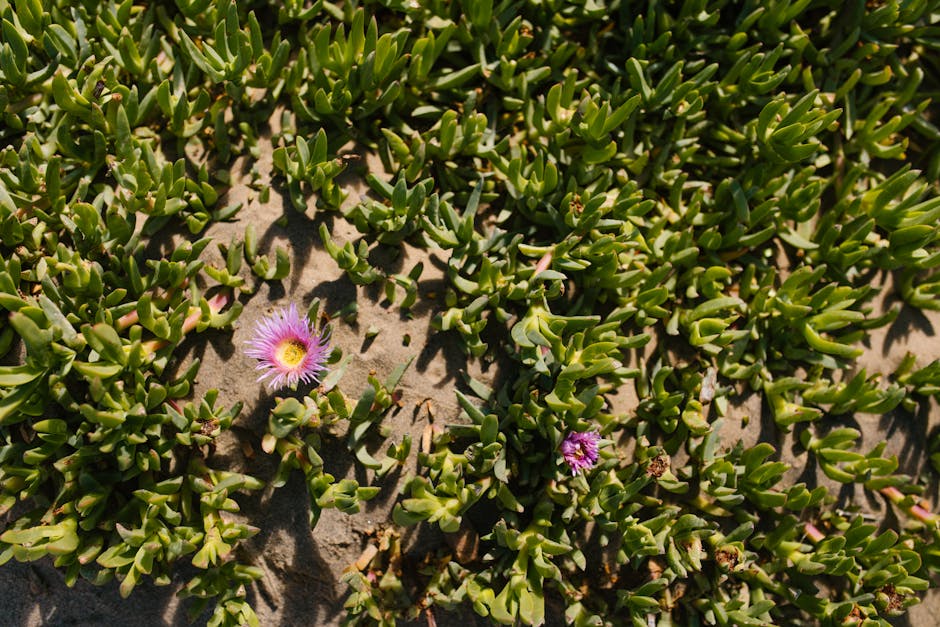 Exploring the Inner Workings of Coastal Maine Botanic Garden: GPOD on the Road, Part 2