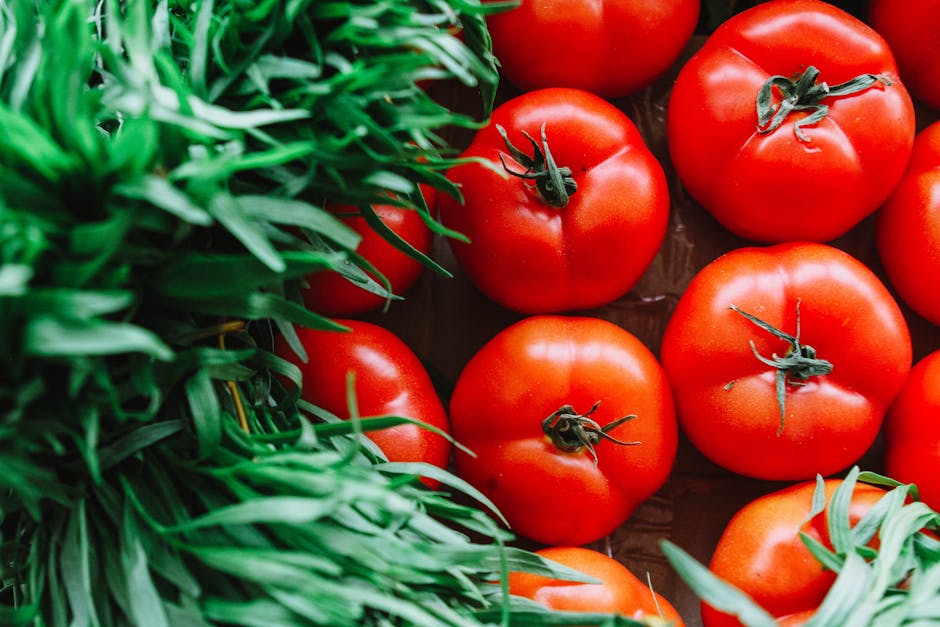 Maximizing Market Gardening on a 15,000 Square Foot Plot