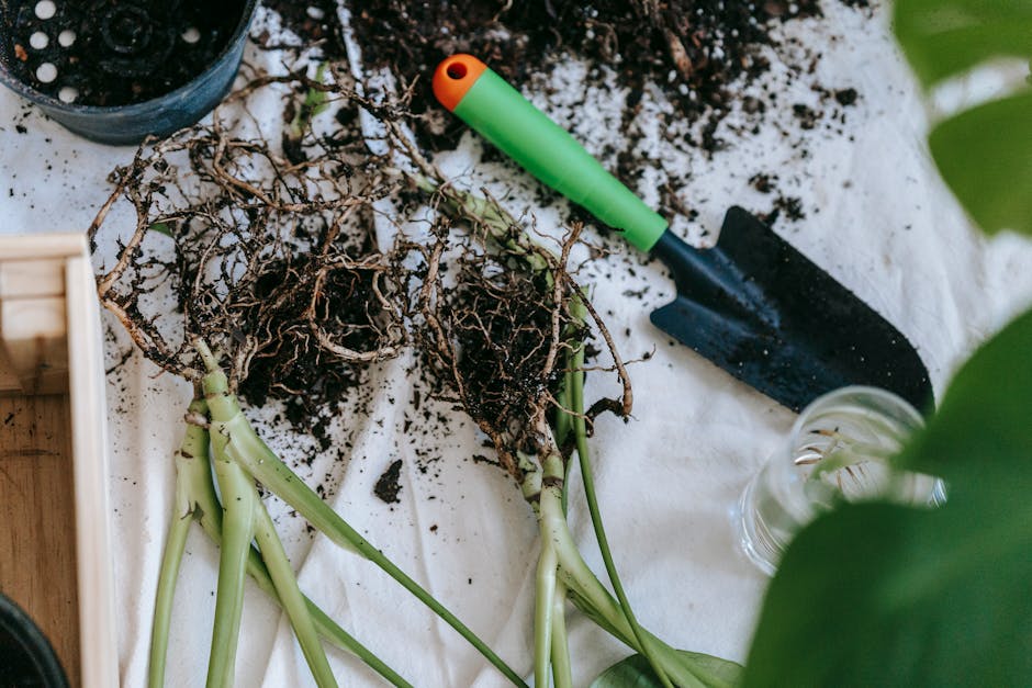 Preparing Your Garden Soil for Planting