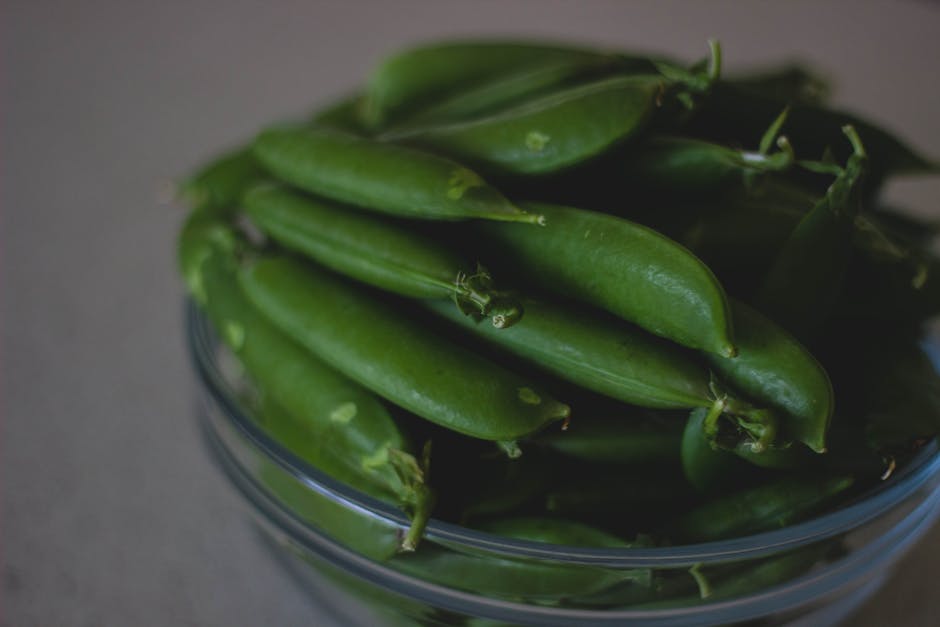 A Comprehensive Guide to Growing Fava Beans in Your Garden