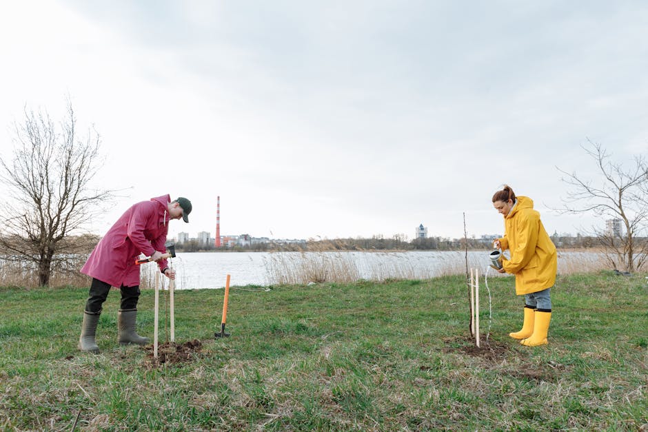 A Guide to Planting and Cultivating Mulberry Trees