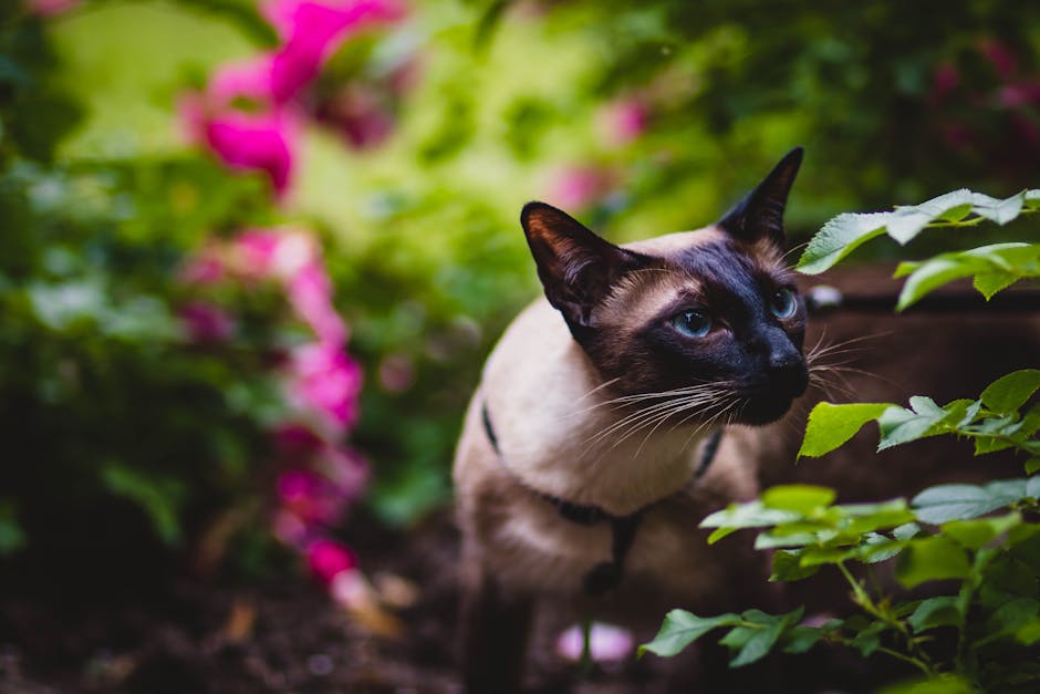 Exploring Dawn's Beautiful Garden in Arizona