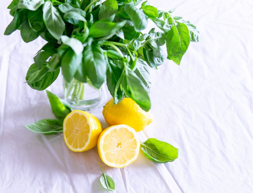 Growing 'Sweet Dani' Lemon Basil: Essential Tips for Your Herb Garden