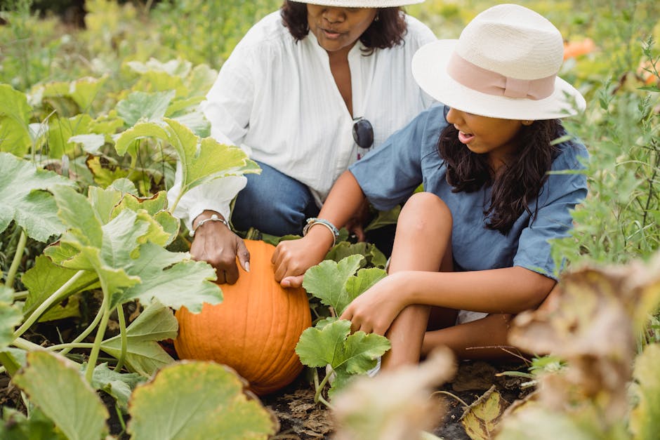 Tips for Successfully Growing Pumpkins and Harvesting