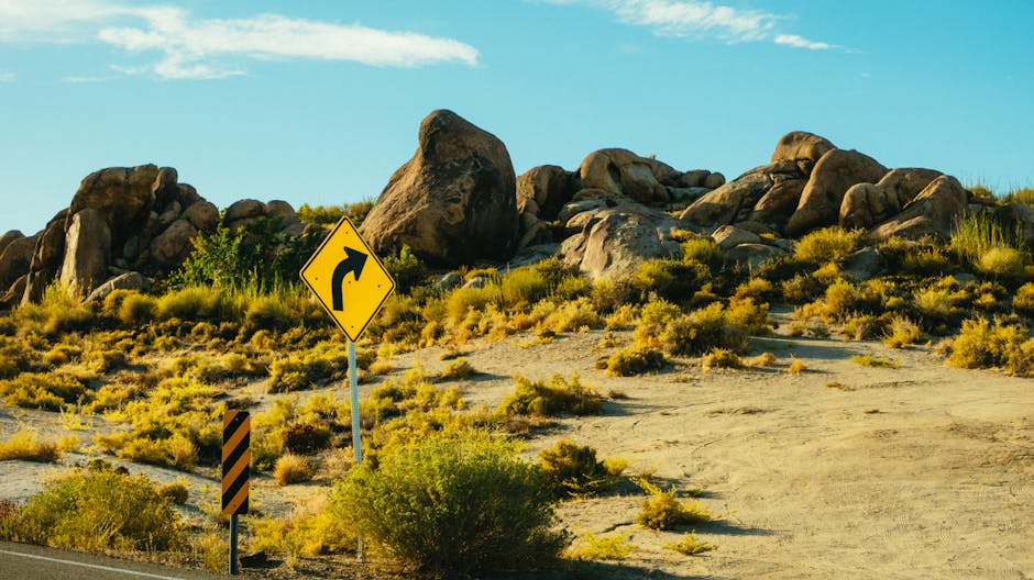 A Visual Guide to Planting Herbs in Arizona's Low Desert