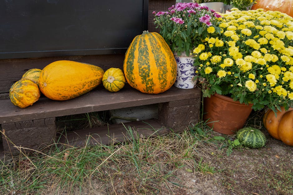 Best Time to Plant Butternut Squash