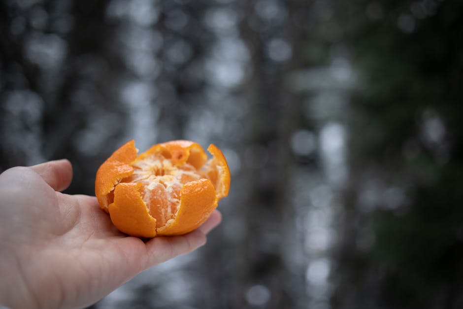 Creating a Florida Food Forest Made Simple