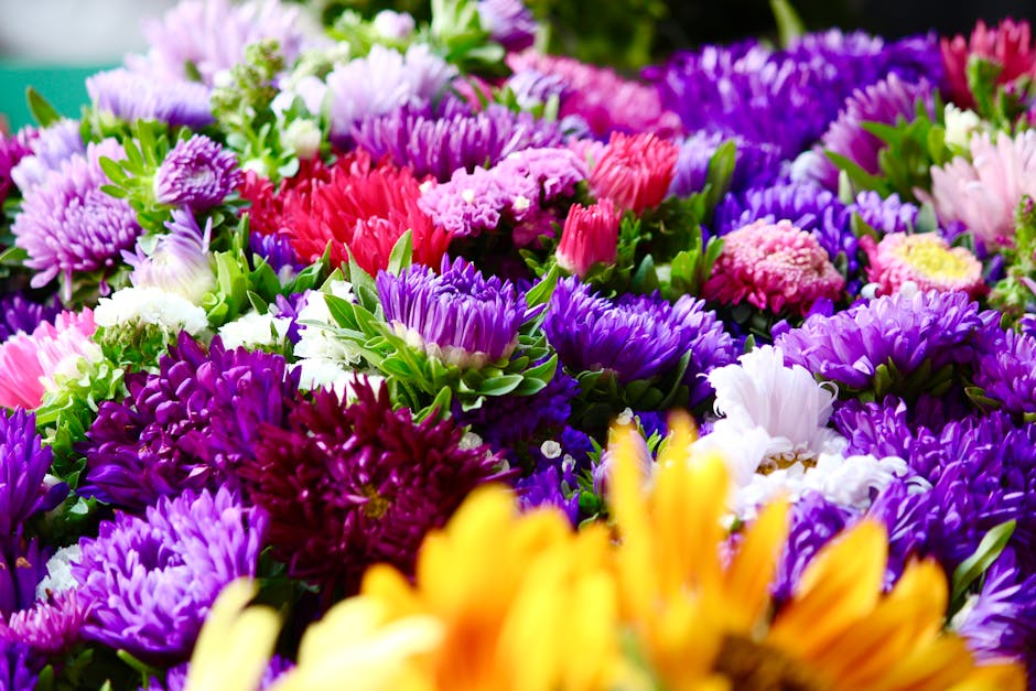 Guide to Cultivating and Maintaining White Heath Aster Flowers