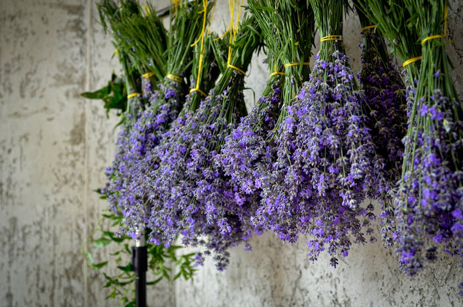 Guide to Drying and Storing Fresh Garden Herbs