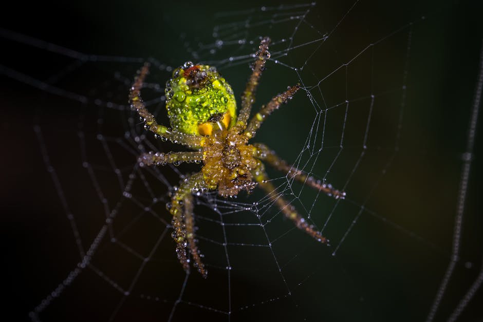 Using Trap Crops as Decoys for Effective Insect Pest Control