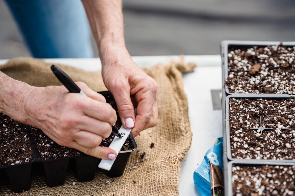 Beginner's Guide to Planting Your First Vegetable Garden