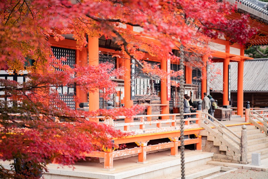 Best Practices for Fertilizing Japanese Maple Trees