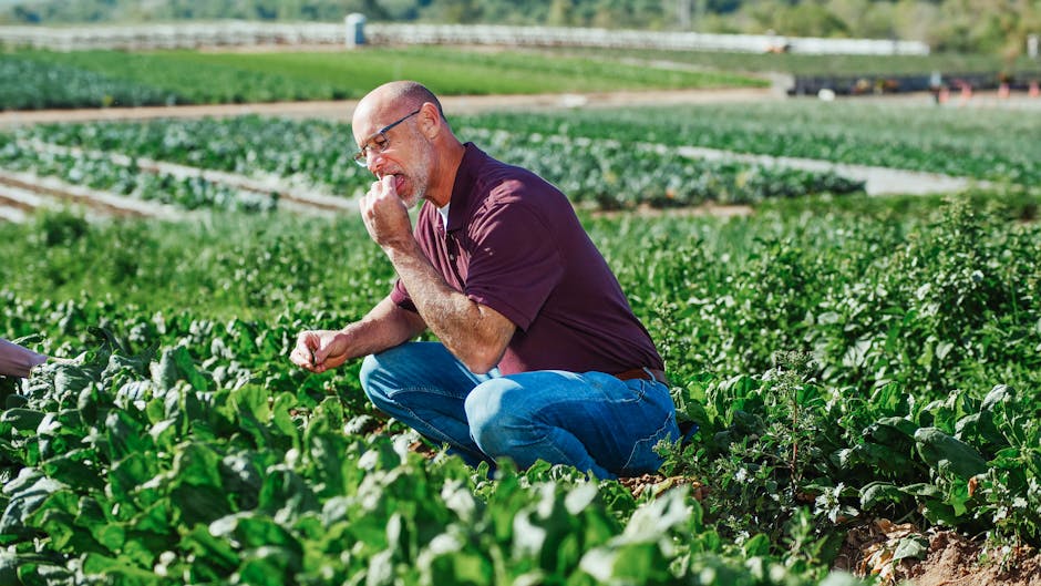 Container Gardening: A Guide to Growing Spinach