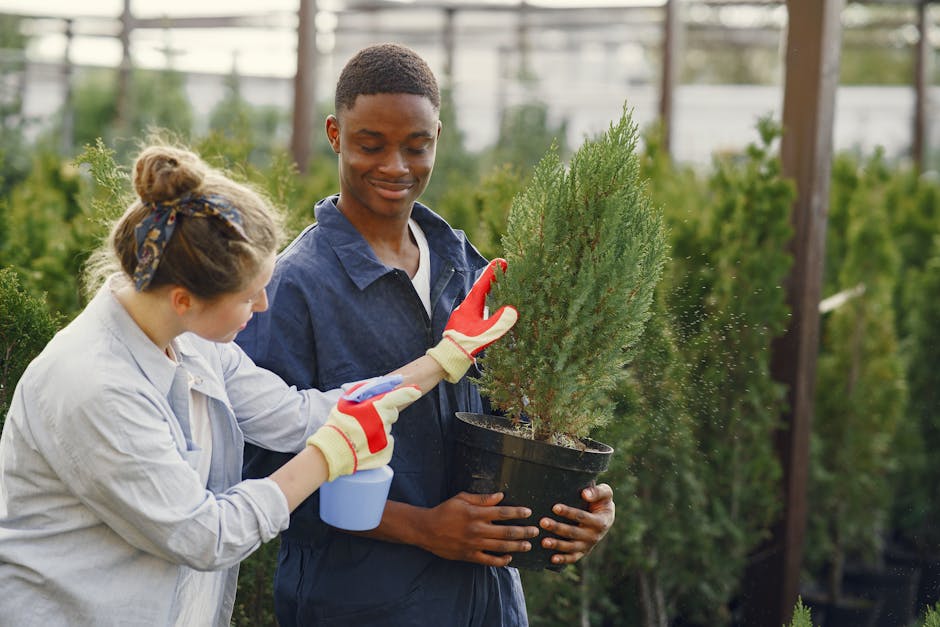 Dr. Killigan’s: Eco-Friendly Indoor/Outdoor Sprays for Conscientious Gardeners