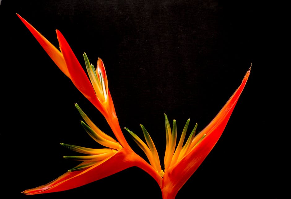 Ellen Merchant's Bold Botanical Wallpapers and Fabrics