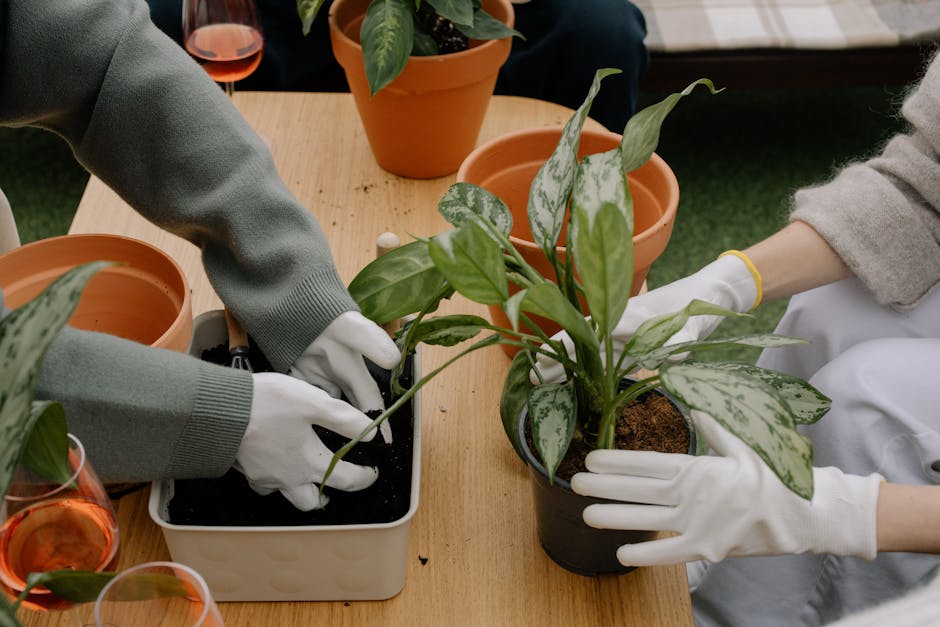 Growing Lily of the Valley: Planting and Care Tips