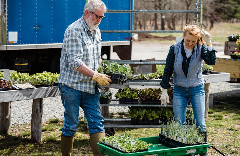 Guide to Cultivating and Maintaining Prairie Onions