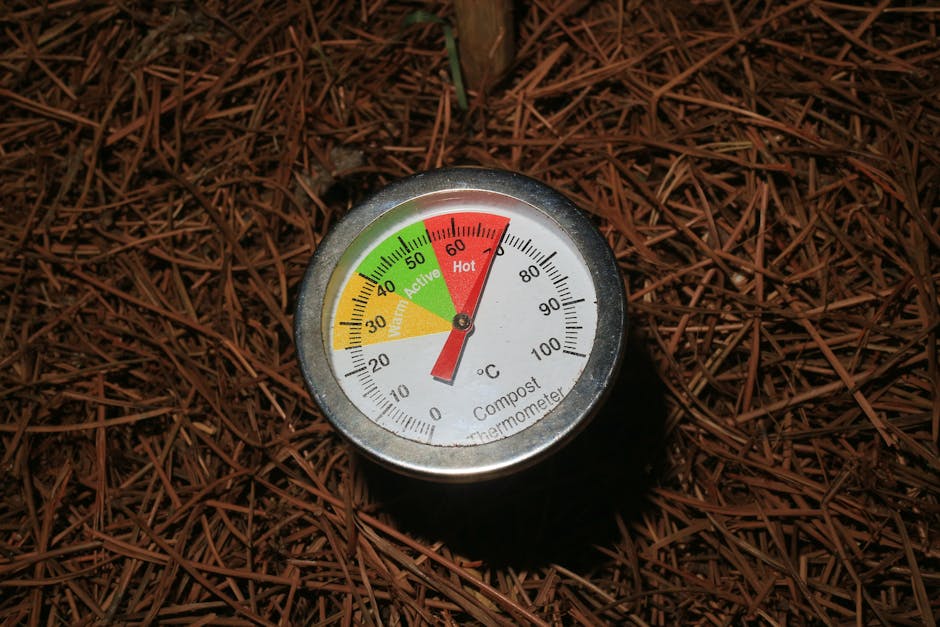 Tips for Building Raised Garden Beds in Hot Climates