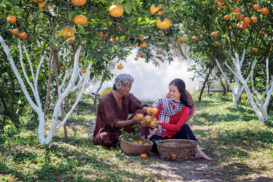 Tips for Healthy Growth and Fruit Production of Citrus Trees