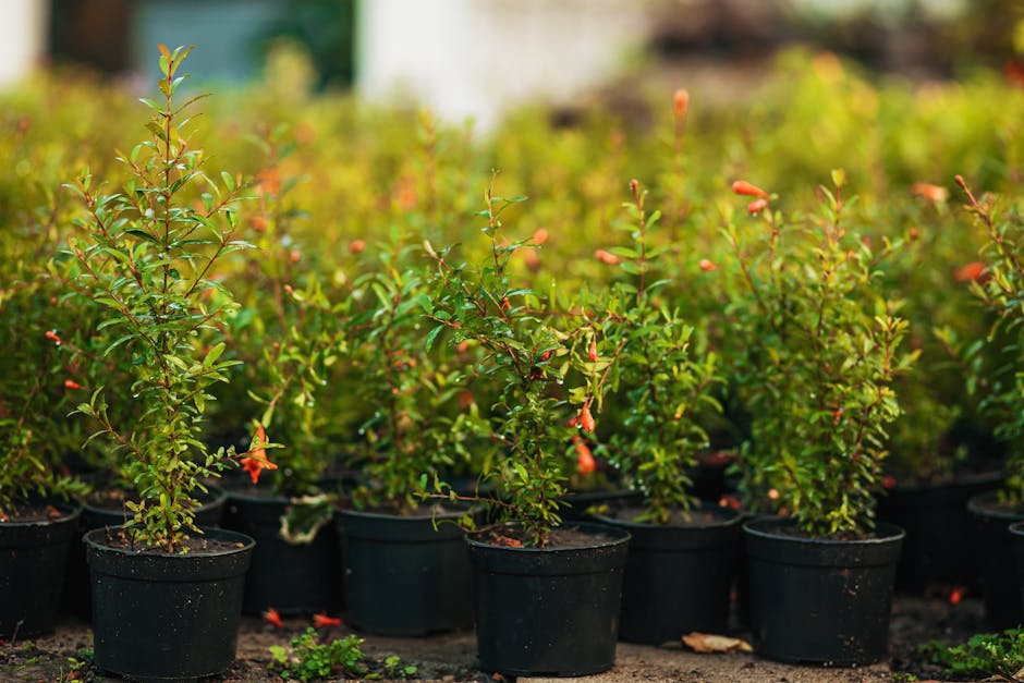 Tips for Successfully Growing Azaleas in Pots and Containers