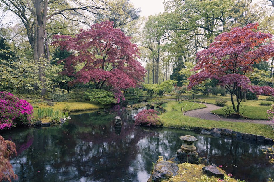 Troubleshooting Japanese Maple Leafing Issues