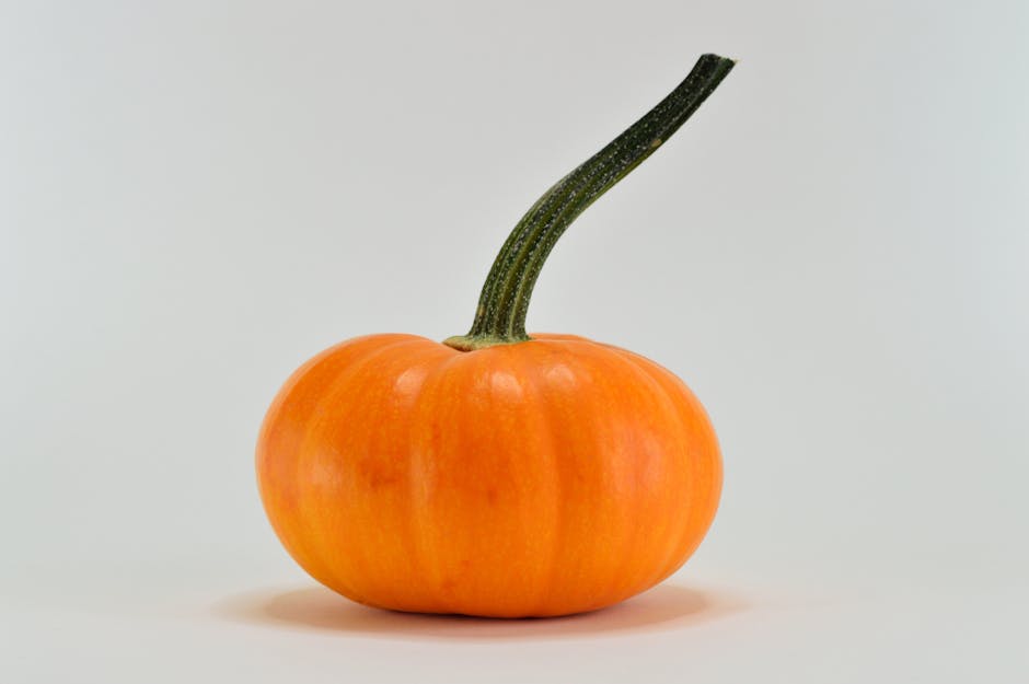 Troubleshooting: Why Your Pumpkin Plant Isn't Bearing Fruit